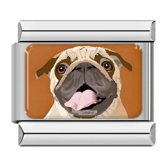 Bulldog Charmsy
