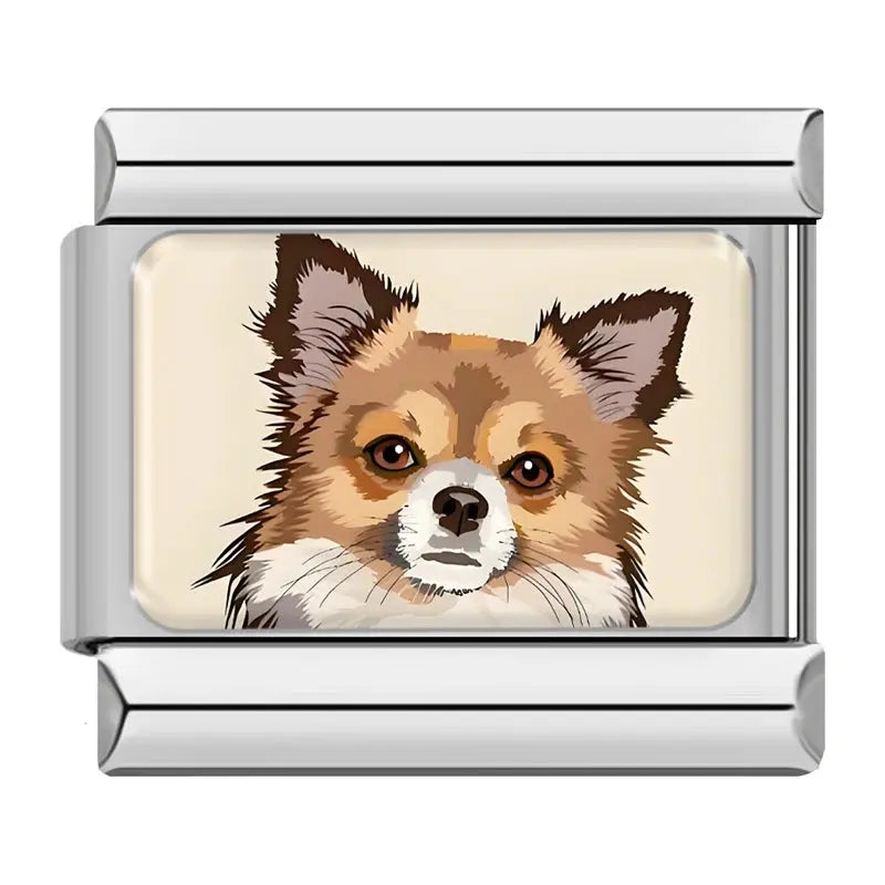 Chihuahua Charmsy
